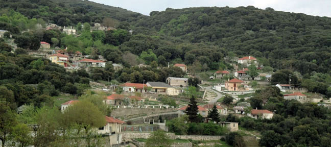 Κωστανιανη